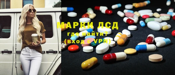 хмурый Абаза