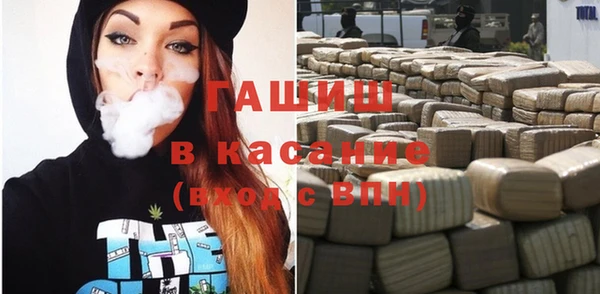 хмурый Дубна