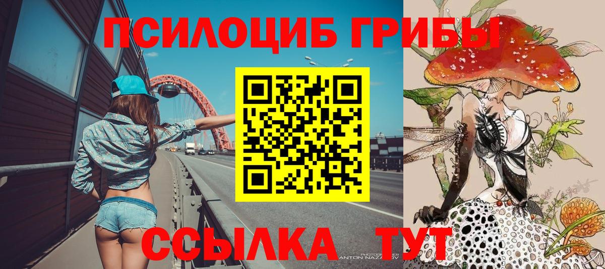 Псилоцибиновые грибы Psilocybe Кизилюрт